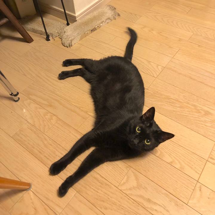 Ea5e061b a613 4eb9 8b7e 90217883a316 1560776188589