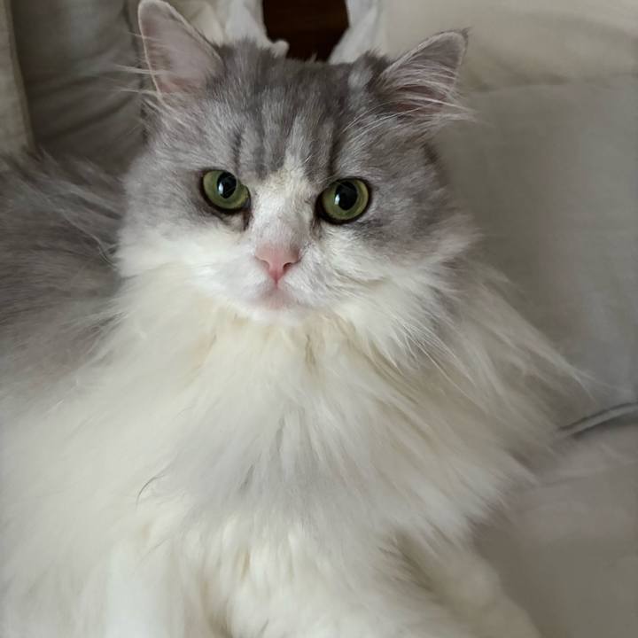 Ea5e2aa8 1a67 4e23 893b dc5fe85fa8b0 1765714043374