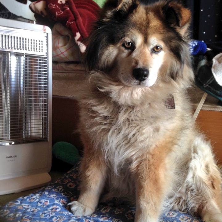 Ea5e3174 45f1 40ad 9971 e3934c36fbed 1552001068459