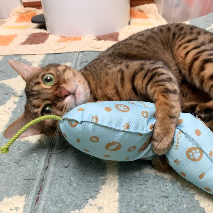 Ea5e4bfa 41aa 4b27 9bb6 15a04cd2a459 1623502350431