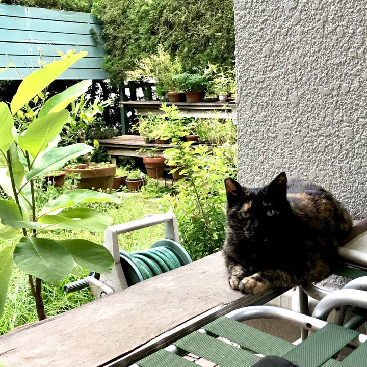 Ea5e50f7 f67b 427e 8019 2ac7efc18a04 1530093415780