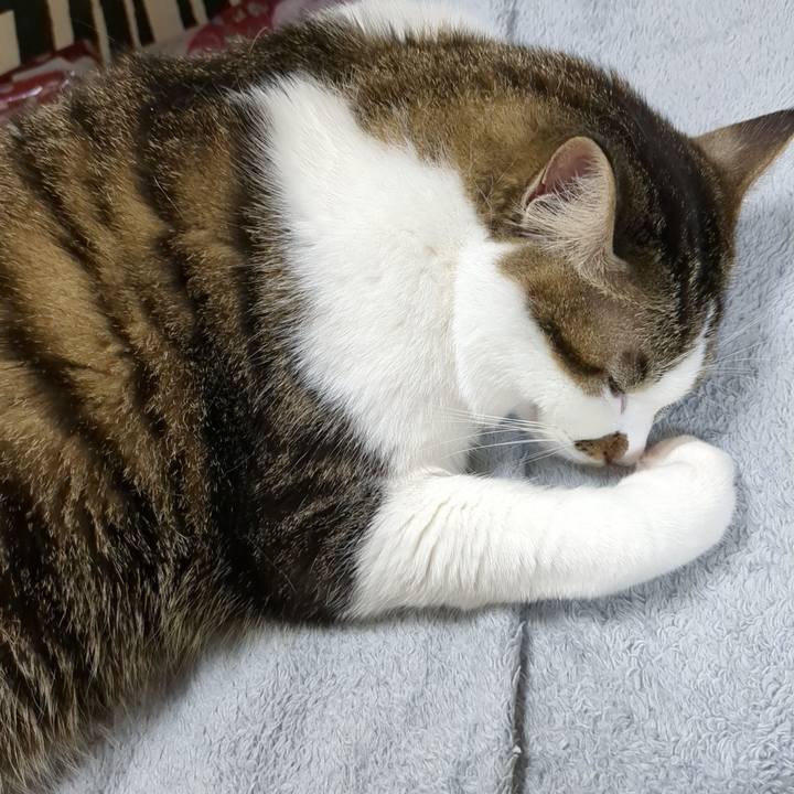 Ea5e88b3 ce2e 4e30 bf49 e7b9b33b6f54 1669777400707