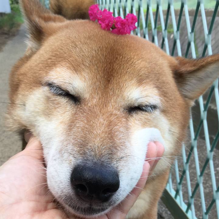 Ea5e8df9 7fde 4bde aa4c cc284b455ca3 1566724867914