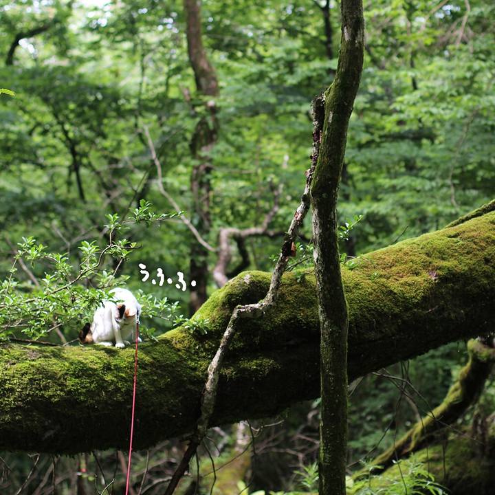 Ea5e9350 75f7 4f34 8907 06e6d06f427f 1616039213814