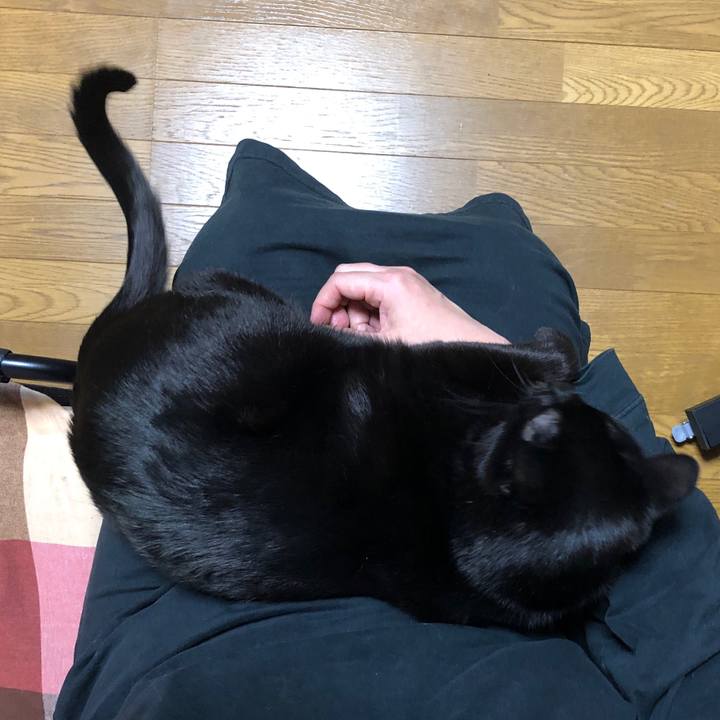 Ea5eaa5e 82e9 41bd 81dc e37756193209 1715089794951