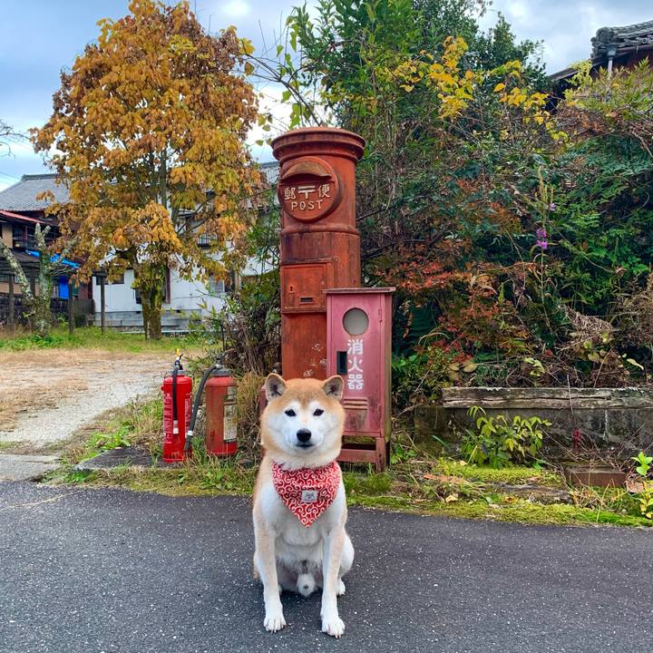 Ea5ee9fc eaba 40d5 a914 7a1806b1787c 1668588733066