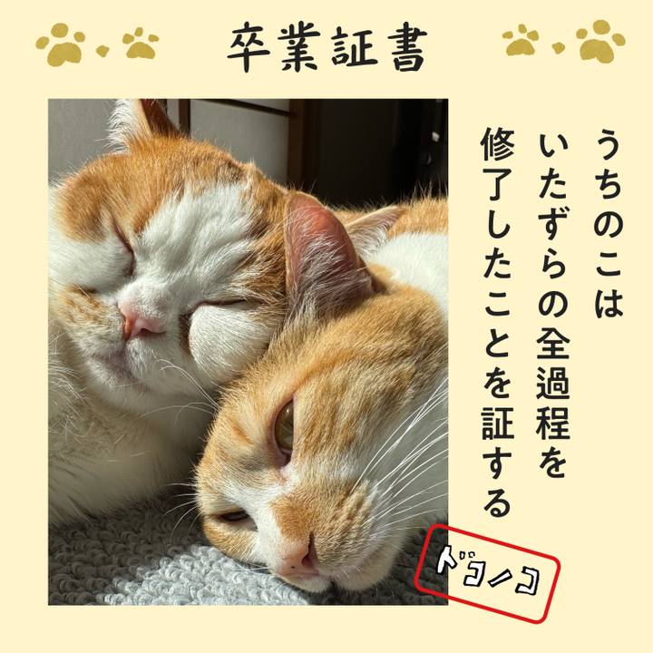 Ea5efde1 46c5 44d0 ac4d e47c88642015 1771879088328