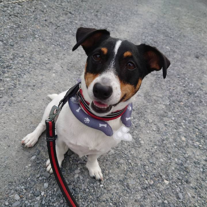 Ea5f0d67 5dd5 401c 84f2 a2504e967f38 1721305443100