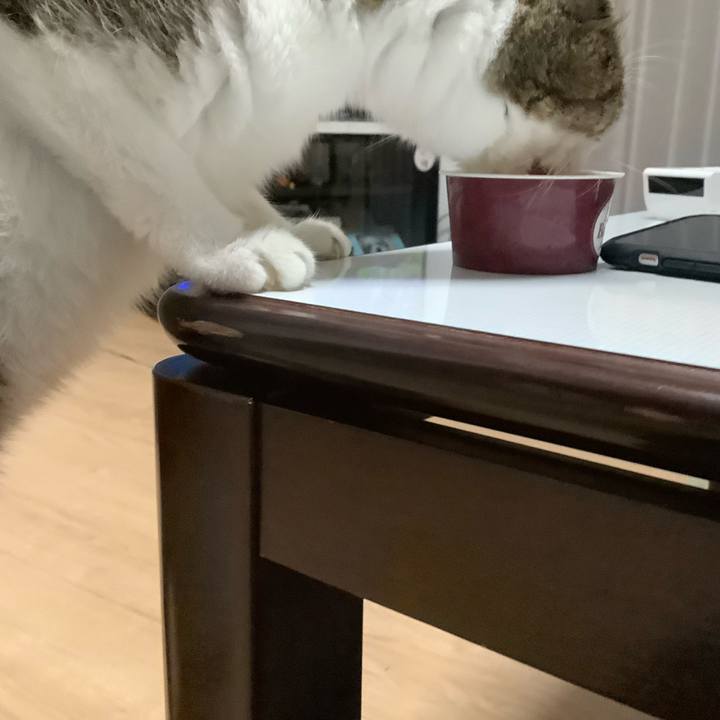 Ea5f39e3 25ec 4312 88a4 2bbe48e8128a 1598619394887