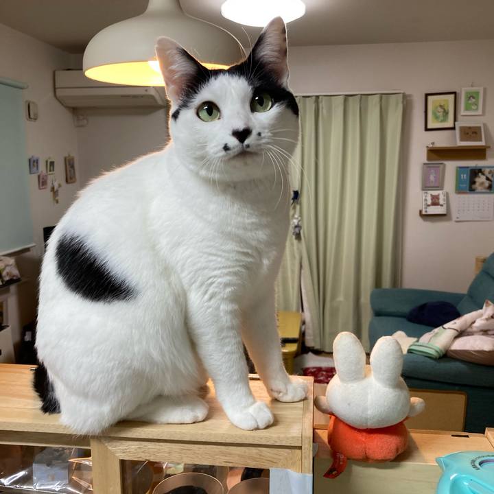 Ea5f4506 9486 4698 9d68 d71043056f8d 1763671835646