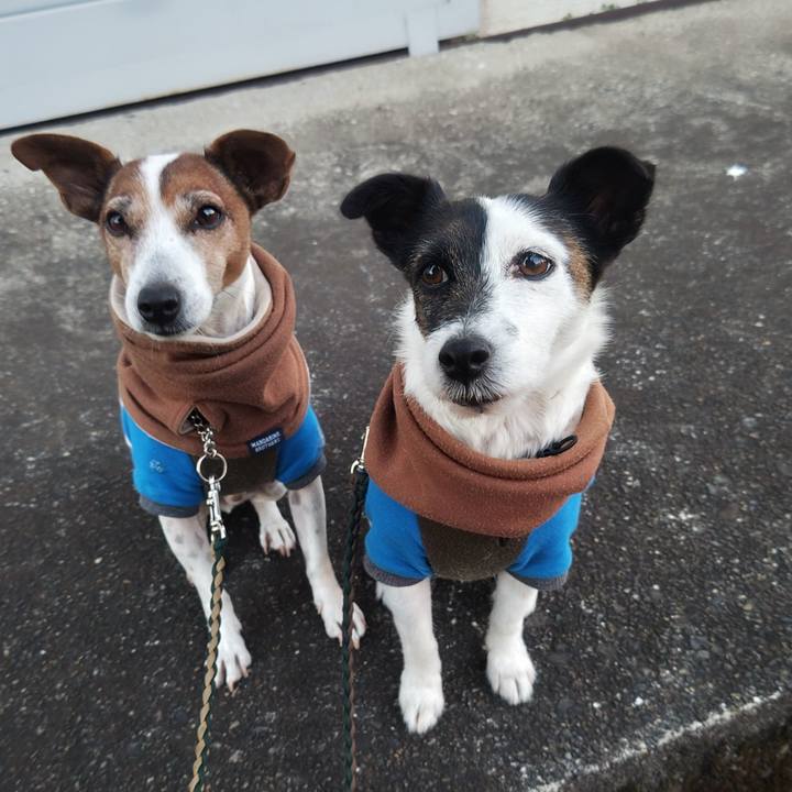 Ea5f55af 56f1 4c1c 9d5f a543f086f333 1765231505664