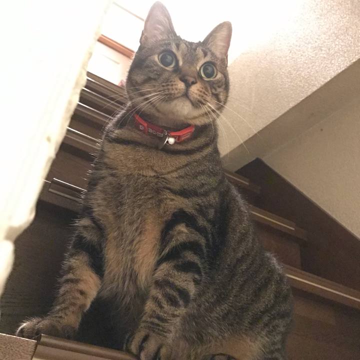 Ea5f6f9b 28c6 45af bb02 bbc182b0066f 1584015557150