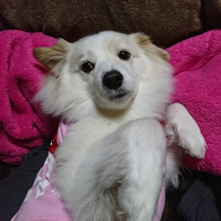 Ea5f736a 4ec0 43b1 8738 924183651520 1519867669399