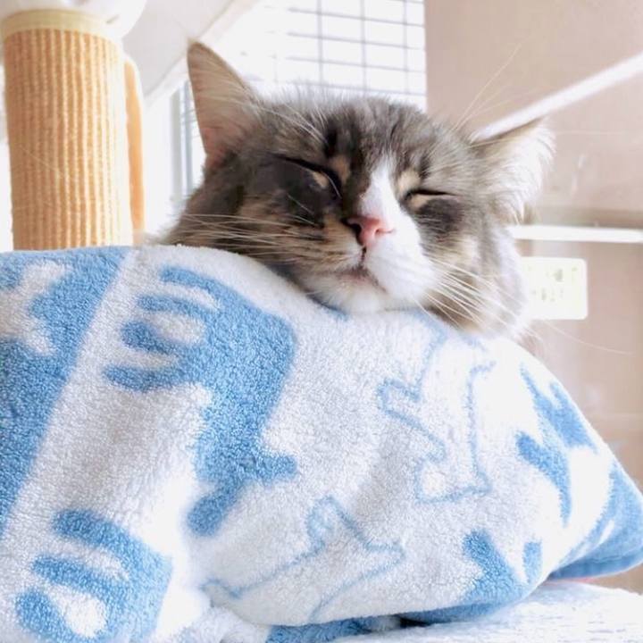 Ea5f7f3d 2cbc 4db4 b859 52bd6cf4ea07 1762735400314