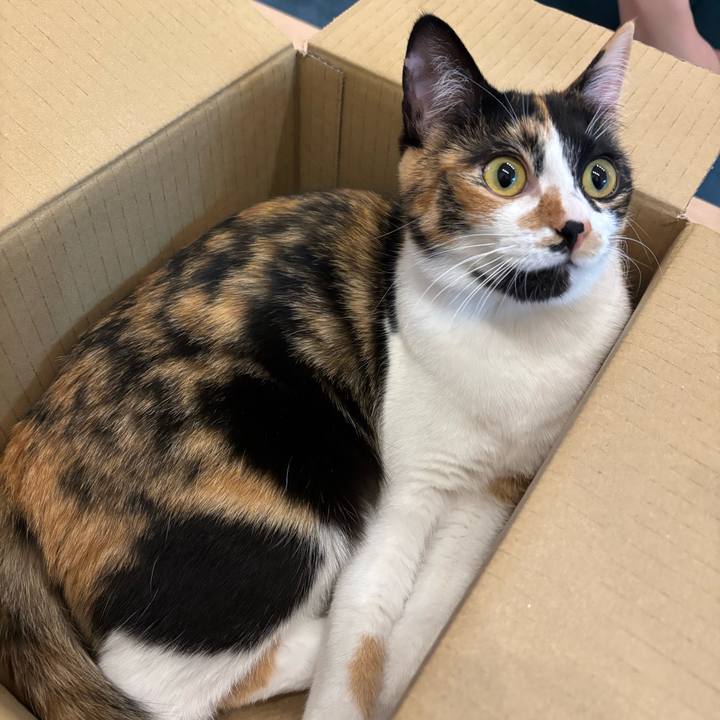 Ea5fa552 3ffd 4690 9781 1f3f5a4339bb 1770898534944