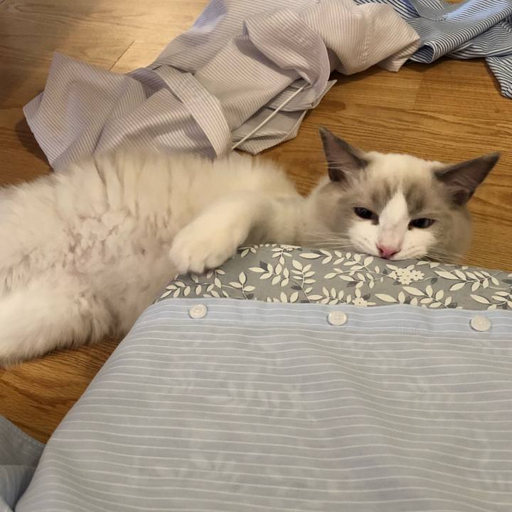 Ea5fcfd4 3a92 4095 9b4e c0796fa4811d 1585789195496