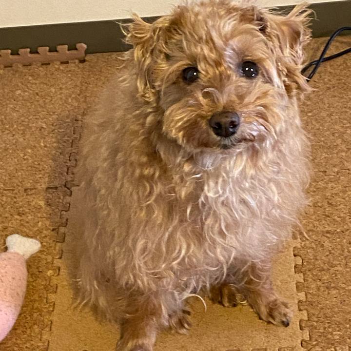 Ea5fea58 d9c2 4414 83a6 b123eecad225 1678311918288