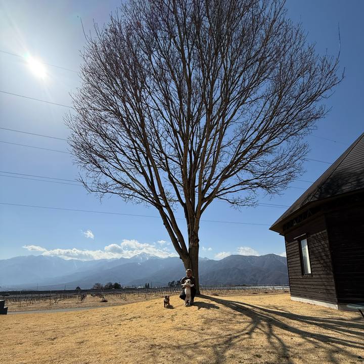 Ea5ffa0d 9383 4800 9f96 806e8428d680 1771849388796