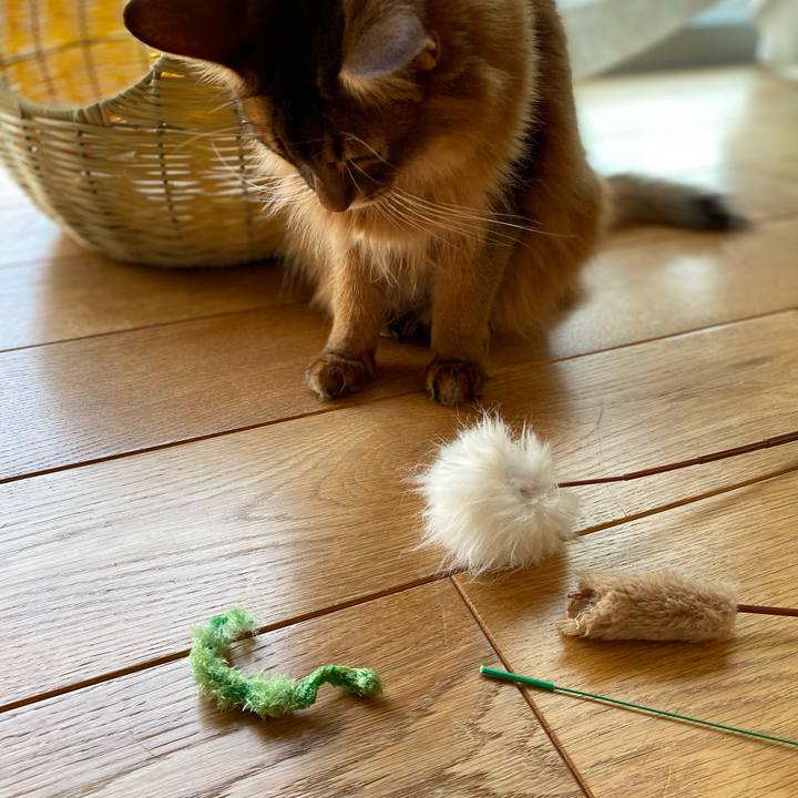 Ea601dcb 5b87 461b b58e 43398be64d2f 1650351855416