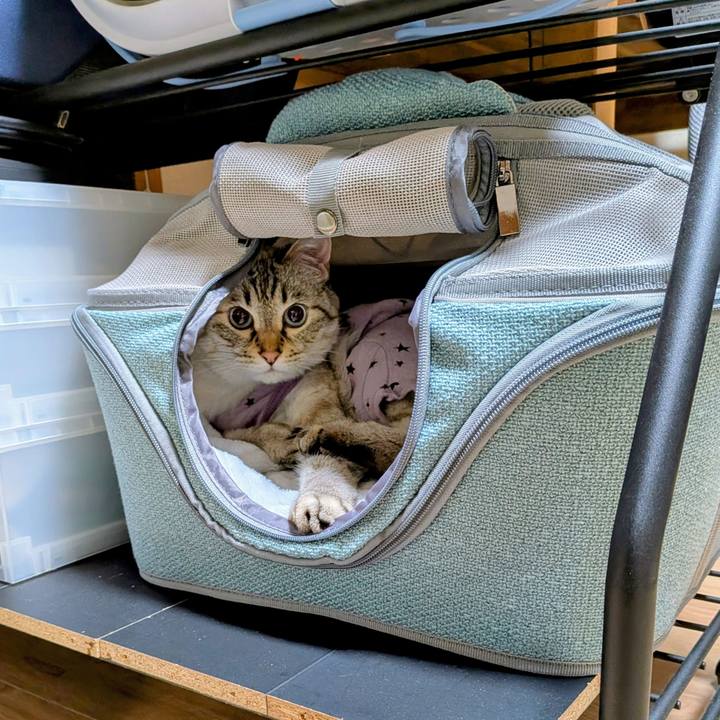 Ea603ac1 0723 4b43 8301 c9ceff4de0ec 1748604809195