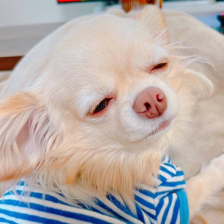 Ea60441f 37fb 426e b353 bcf8456770a4 1647481148683