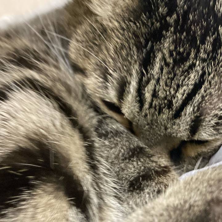 Ea608587 60fb 4709 aa94 b5a670ec4a77 1666385264732