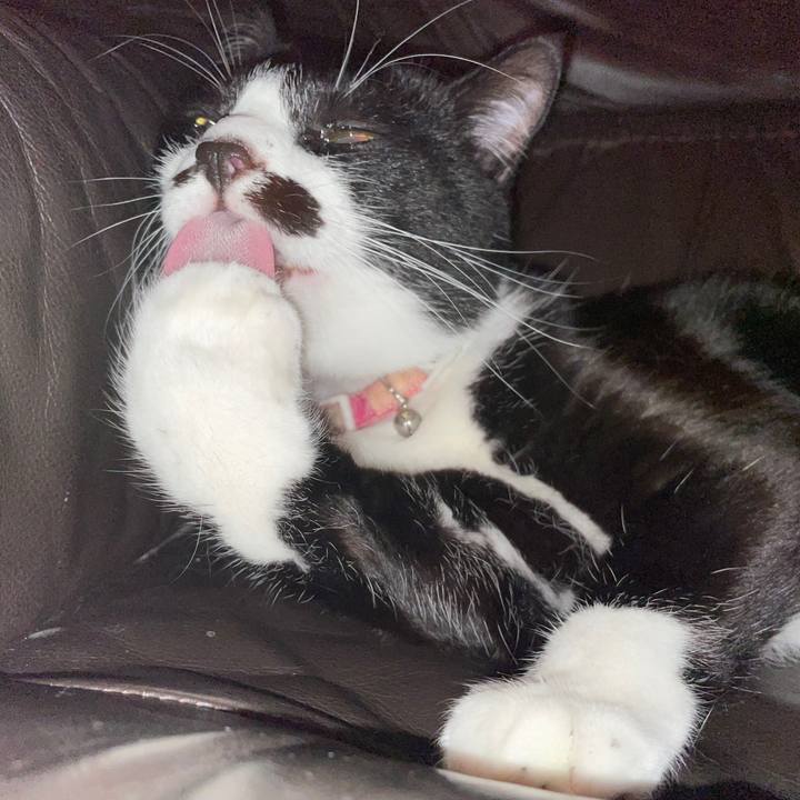 Ea6087ba b32b 4984 8acd fbdab4b1c622 1651077074702