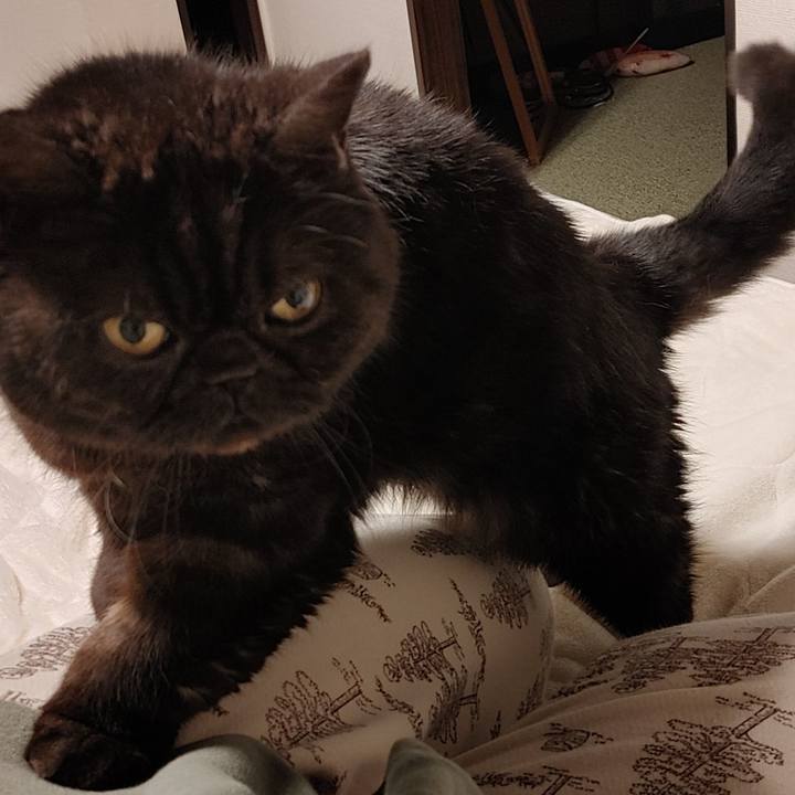 Ea60974d 0604 4b05 a266 823db2b313b8 1647525431882