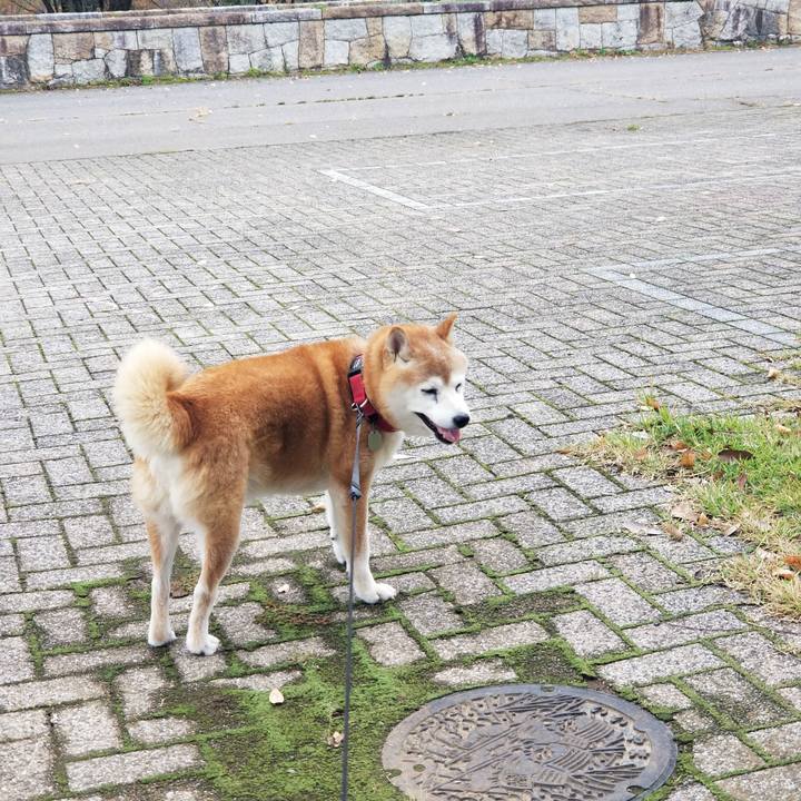 Ea60b420 a62c 40a7 a49d 833eb96c6a61 1729745350446