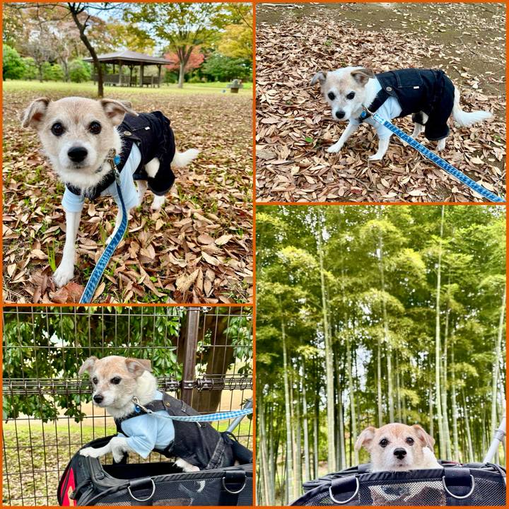 Ea60be19 de6a 4eb5 ac92 74caaa744775 1731208816010