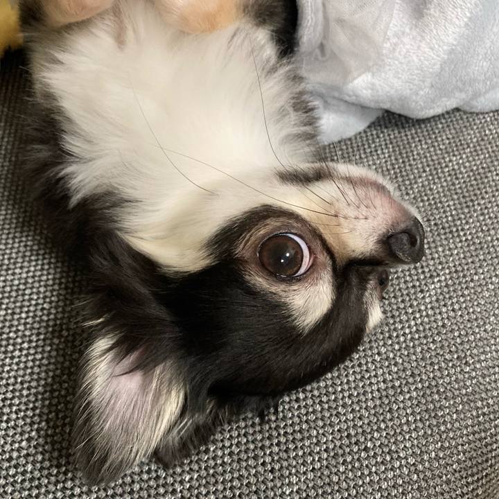 Ea60c4d6 52f7 4799 a56d 369911cfbdfa 1627033547405