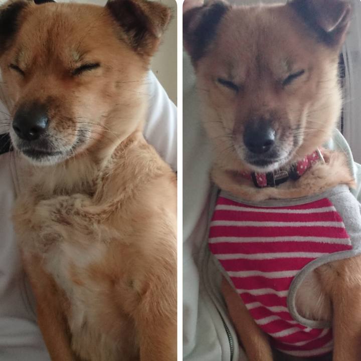 Ea60d3bd b208 4b44 bbd6 aaaca68490e7 1577804050815