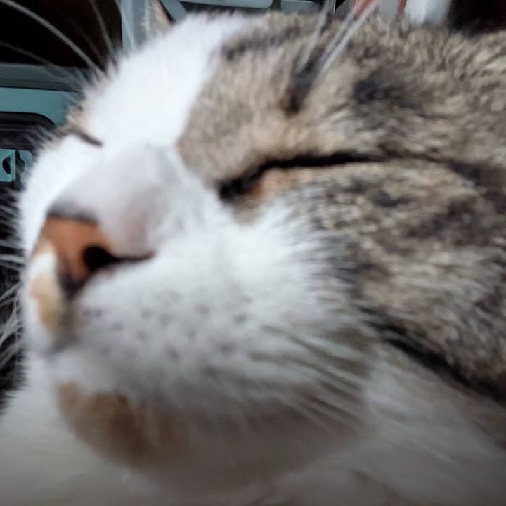 Ea60fff5 687f 40dd bcf6 472fa1a67302 1745623597212