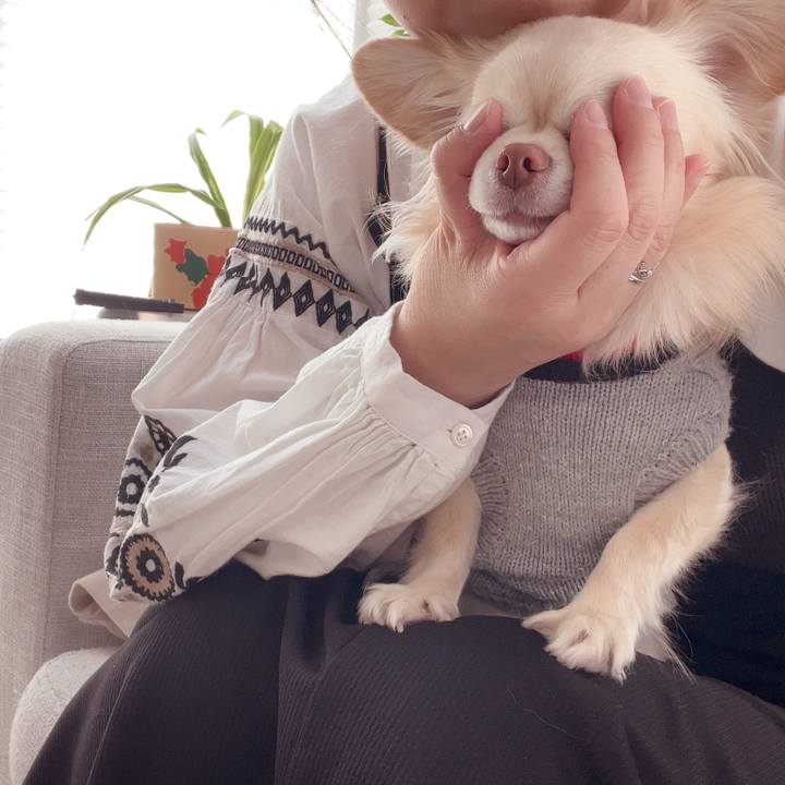 Ea610879 95f2 4bf4 bc38 4decc7cc5027 1742613186812