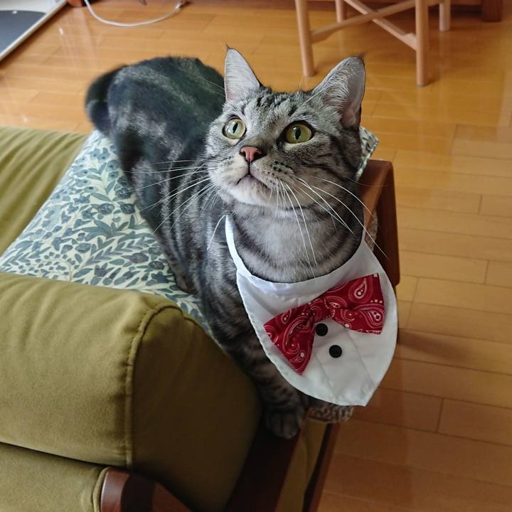 Ea6128c5 5fcf 4667 8c3c bafe1107bf5e 1581890183948