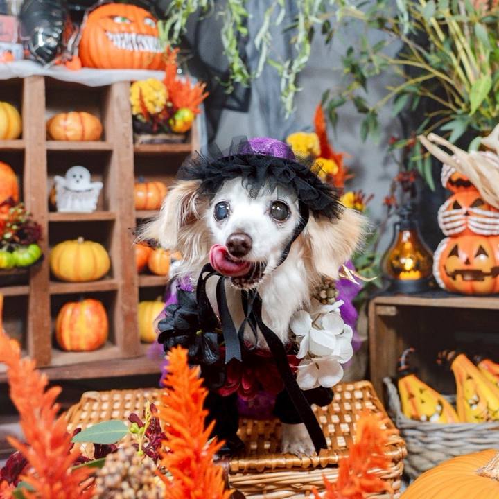 Ea6148f1 8bad 4204 8b4b b1aef2333af8 1760163537584