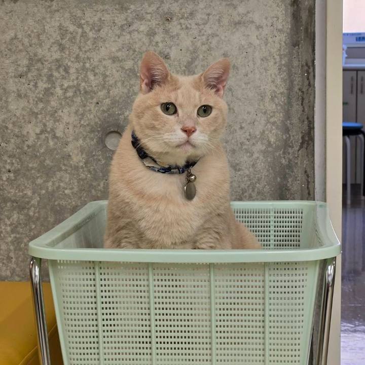 Ea614b3c eb0e 4f02 bed3 5d912e49e91a 1762043609707