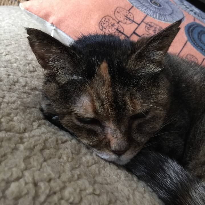 Ea6167de cb12 4c7b a294 2ca2723436a3 1651018868953