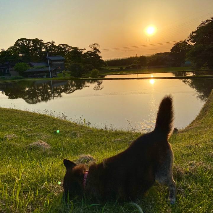 Ea617c45 fd7f 42e8 bfb1 252eadfd12df 1653820532925