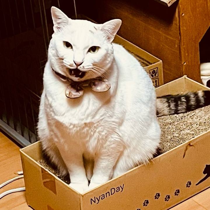 Ea619588 6ef3 42b7 9e65 c9a70ab8c069 1767559775706