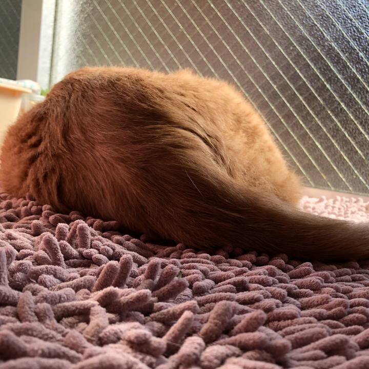 Ea61b70e f569 4d27 ba03 ab9d9d2d2a9d 1584400809727