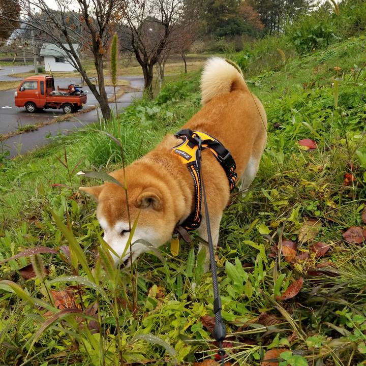 Ea61d1e7 565f 4a7e 8a41 2f933287401f 1604730176320