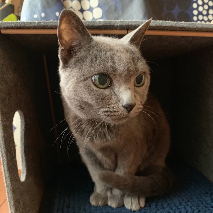 Ea61db74 4e48 4447 a792 ac522797bf48 1550441754762