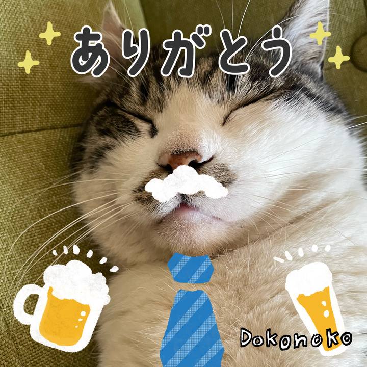 Ea61f21d 8fef 49cd 9c37 f5287c169686 1717591333639