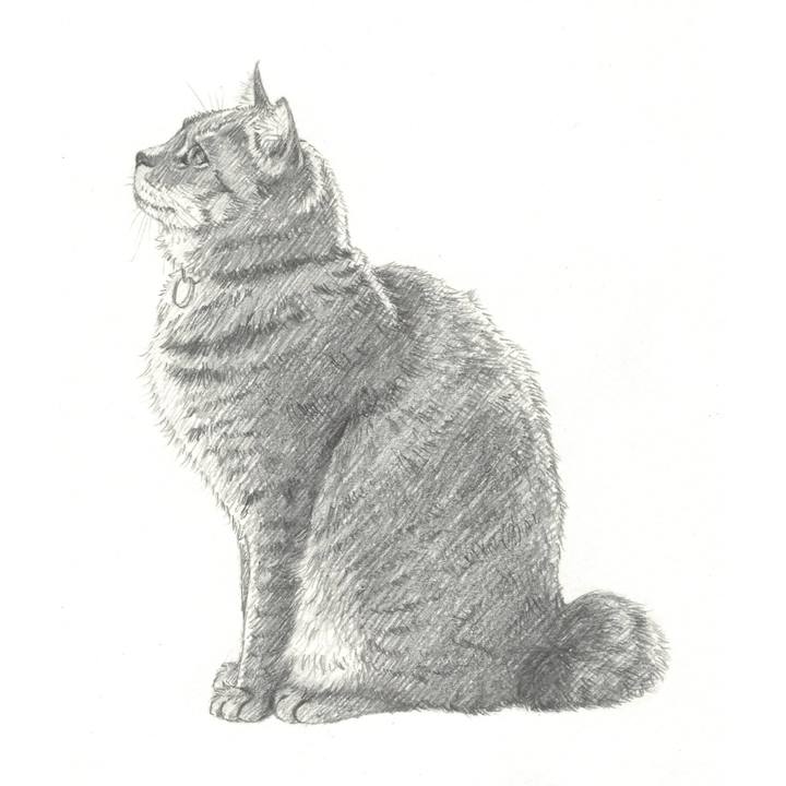 Ea621b93 1b69 4d58 8500 1e402d723172 1541426918012