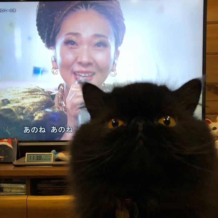 Ea623182 04f8 48de ab44 5075d0a555c6 1609426232918