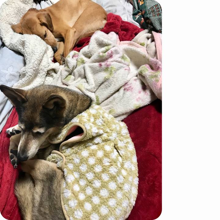 Ea626bcc 3ebe 434a 8447 8401c20a7bf1 1544622301876