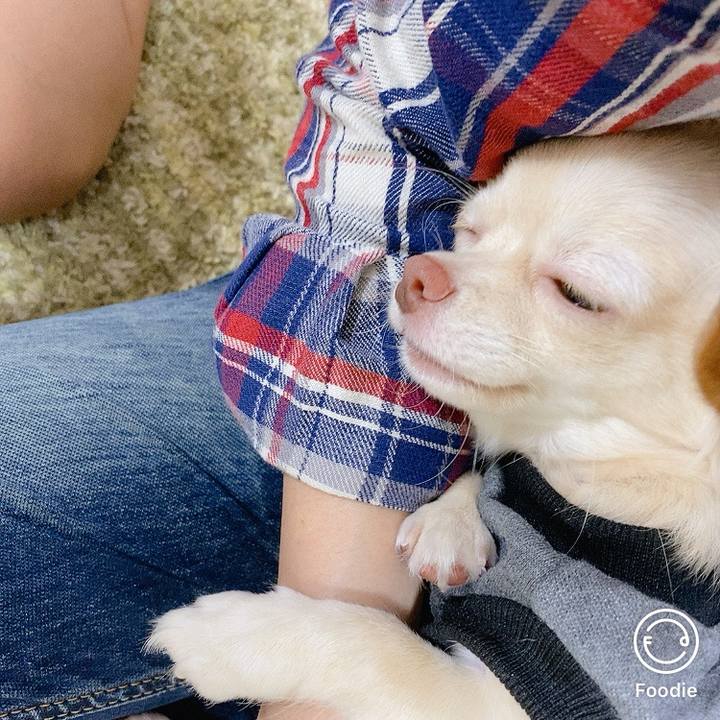 Ea626be7 e7a2 46db 8f6d 7762bcd4dce3 1600396957802