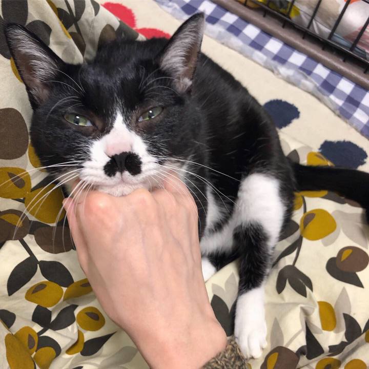 Ea626cb3 b0f2 4e18 9898 69965f42aa68 1578321112002