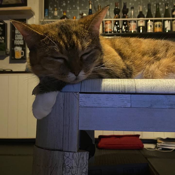 Ea626f47 9e29 4a81 aeb7 83b400f7bcc3 1598057191214